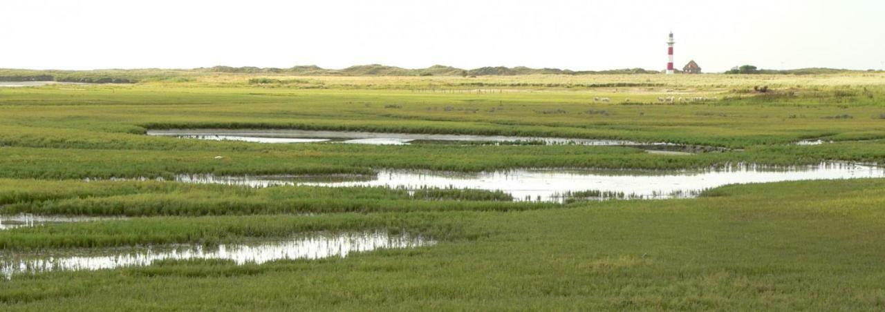 Studio De Zunneblomme Middelkerke Εξωτερικό φωτογραφία